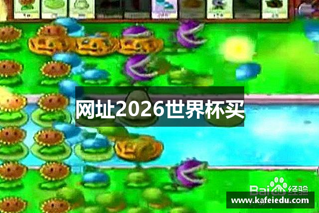 网址2026世界杯买